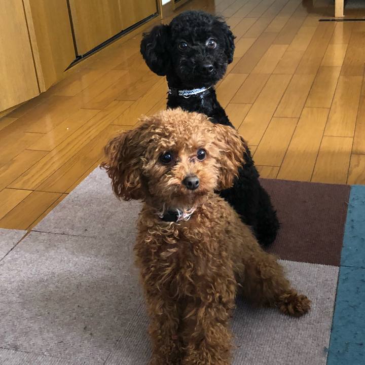 61d874cb bb8d 4f20 a0d9 baa022d341fb 1522795038798