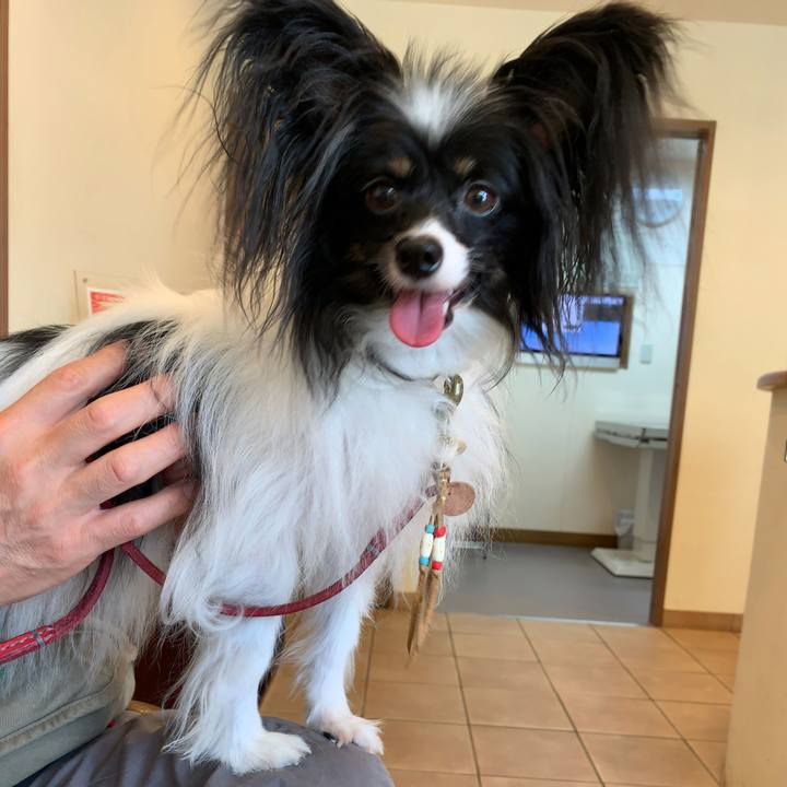 61d8a0aa fb6c 4c14 842b e635d0798c30 1566091152493