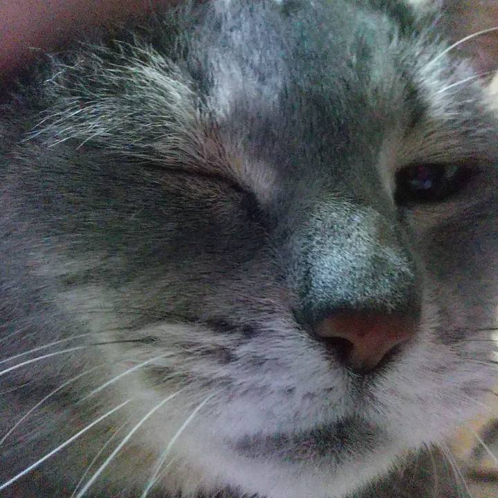 61d9124b 8c1f 4dc7 ab8f 8eeaa2045af2 1620476237865