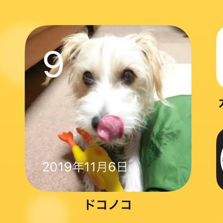 61d91a67 6ad2 429e ae7b c308882cd512 1636410749050