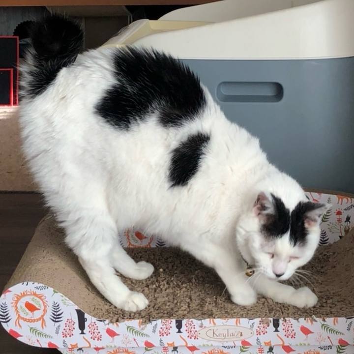 61d93557 0bda 4dc7 baf9 217183ade47c 1711786472257