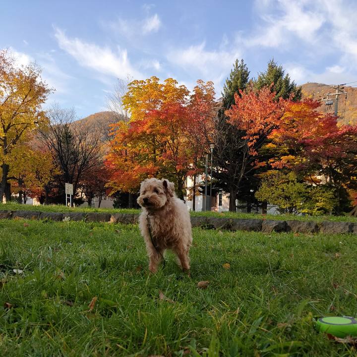 61d95b8e c9dd 46e3 992c ac406c46dbd6 1603852104726