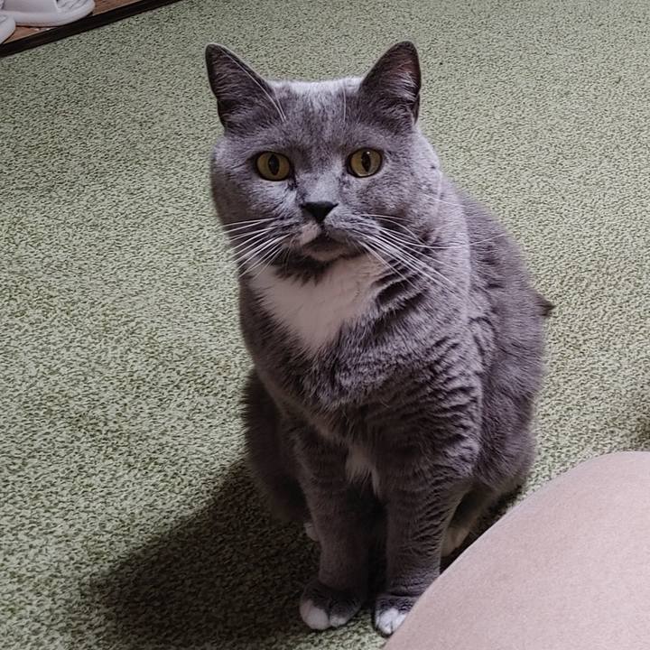 61d96af6 34a7 467c 8f6f 6c7a58be7bdd 1769437385525