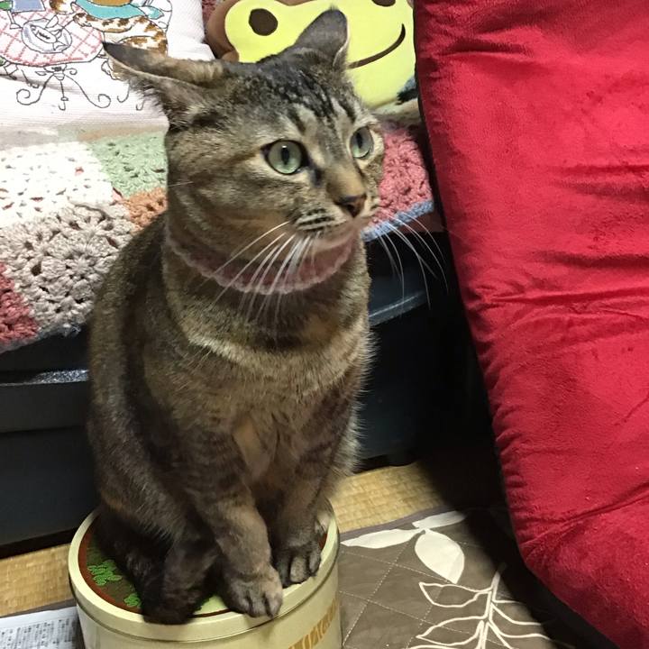 61d96baa fc85 40e3 926b 5aac408c860d 1676893673756