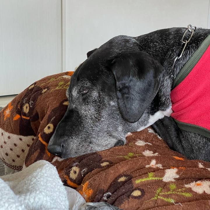 61d97806 d0c8 4638 ae5c 0d4bb66cb718 1615700969166