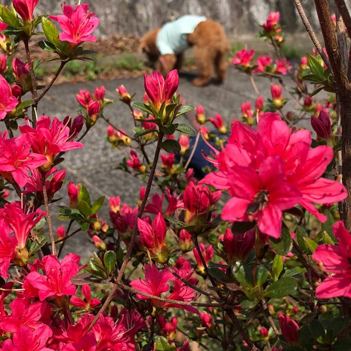 61d9dfb4 5600 4a59 a6d3 39806b294c92 1588555387556