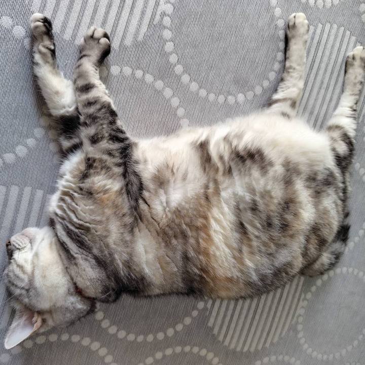 61d9e995 2796 496c 845a 9d8c8513baa6 1759962256892