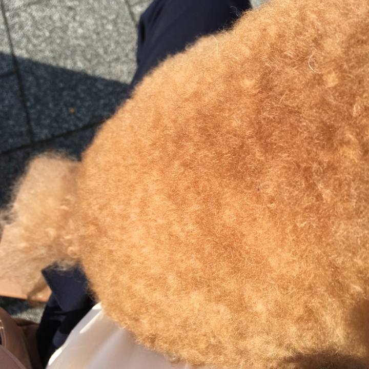 61da0934 802f 4560 b897 fd727bbbcbb3 1552055397733