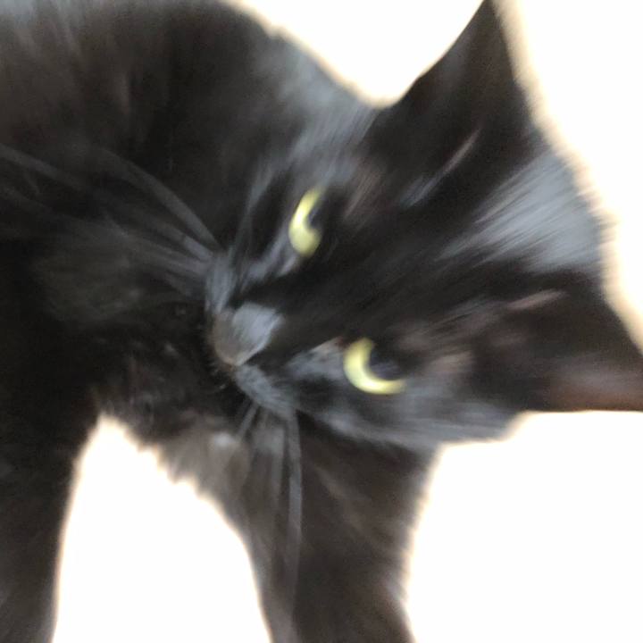 61da1518 d179 480c ad37 eef5102d3339 1608383084456