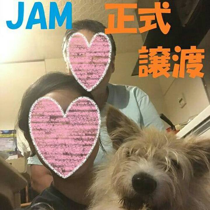 61da5106 ac1c 4f70 ba66 914db06d6184 1598306960663
