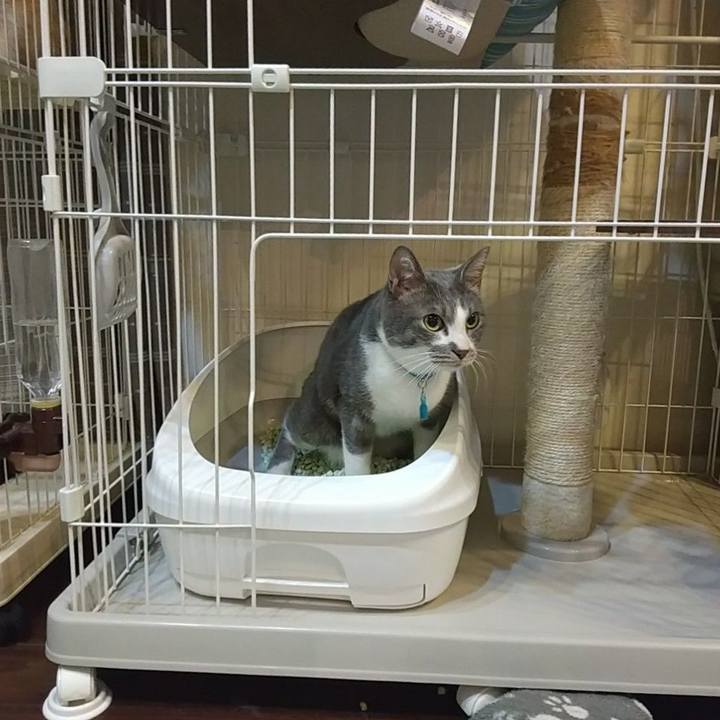 61da8b25 68bb 499b 9fd7 b2396455c7c8 1641037178591