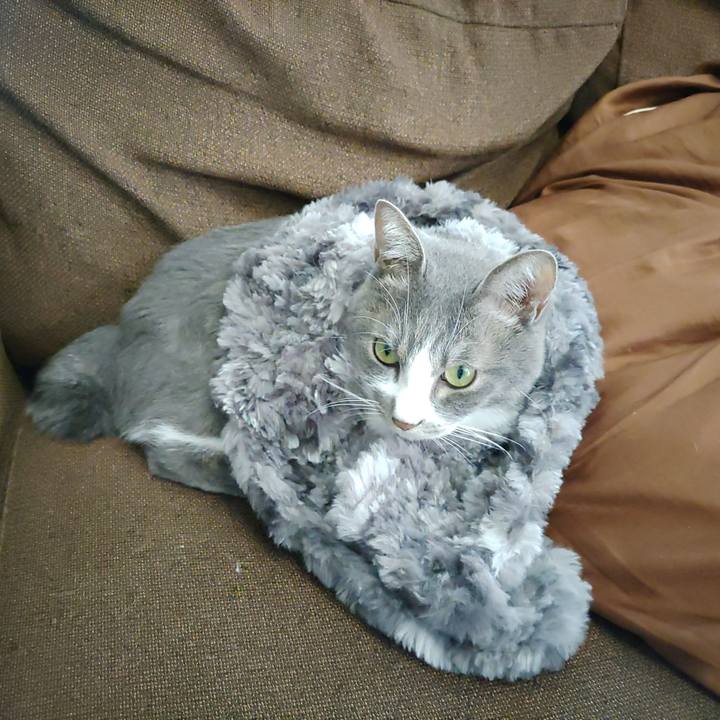 61daca20 4c82 454f a09f a0adda1925a8 1667963956839