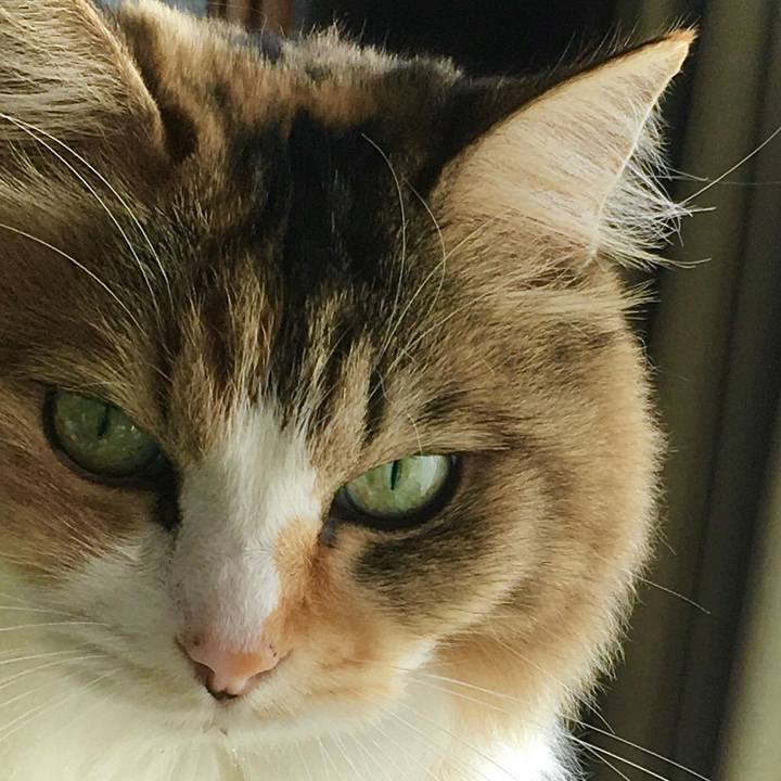 61dada36 d957 4825 b2bc 5072e9d45d78 1604305738614