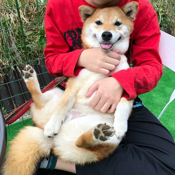 61dae71c 6e42 4d41 b467 63d191b18166 1588565684547