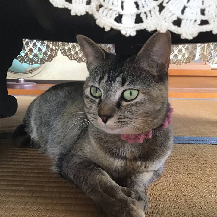 61daeba6 08ea 44dc 9e47 16faa923f40f 1589270474424