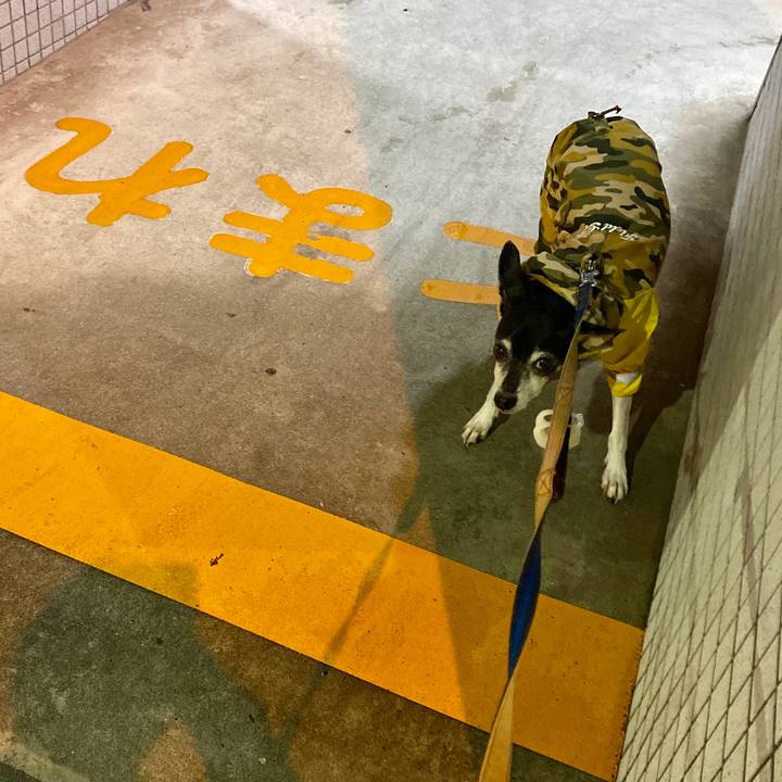 61db05b2 7263 447d b400 e91c766d7ce9 1602240940706