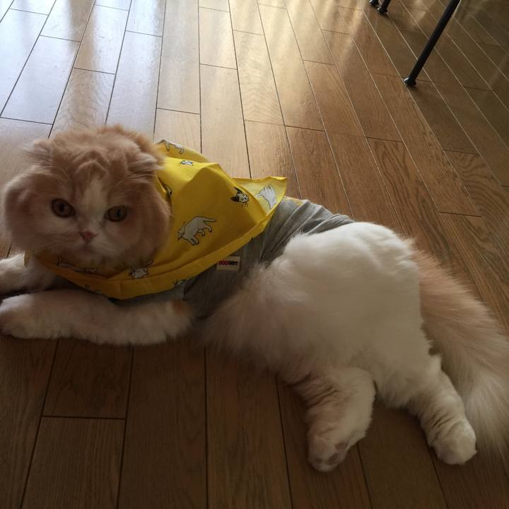 61db6cba 80c3 4bff b2b5 4000522ace11 1550815661561