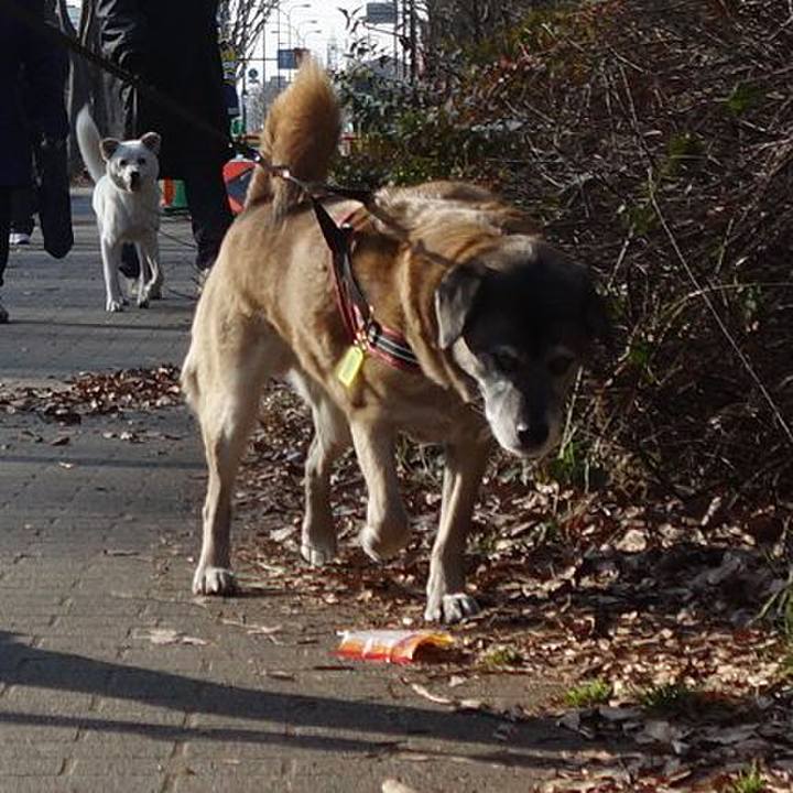 61dbae53 dd9e 4be7 8215 596db6682eb0 1518831597390