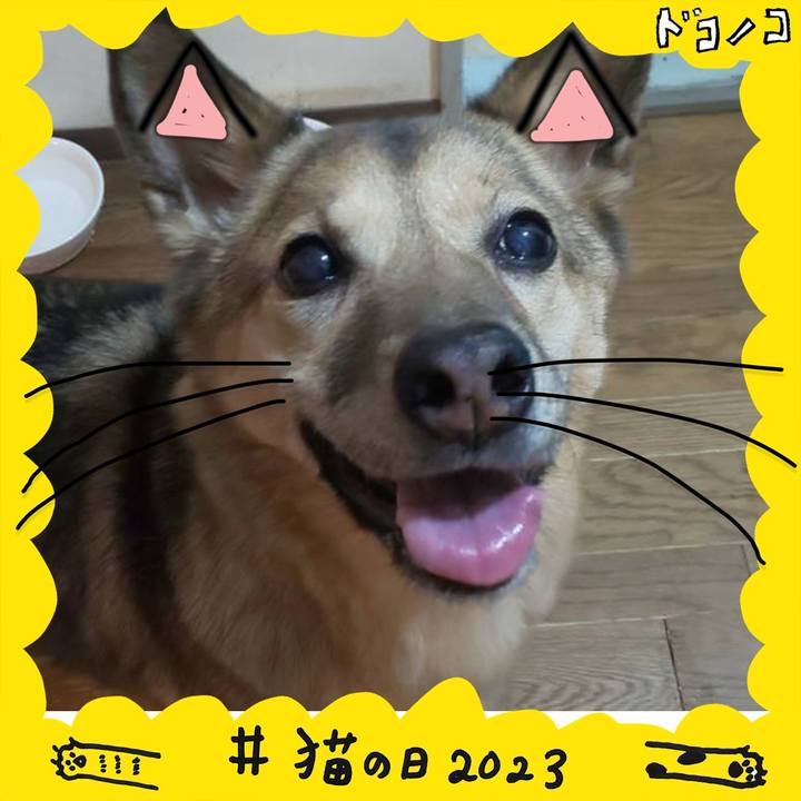 61dbc970 9930 4dea 8b66 3913586d1bf4 1677074326943