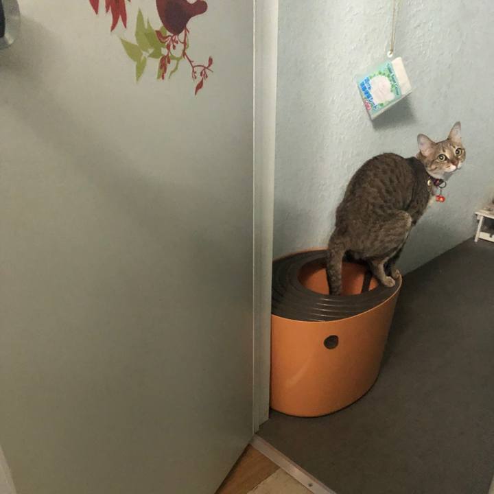 61dbe716 1cbf 4940 aefd 8e7d14896b39 1655959013150