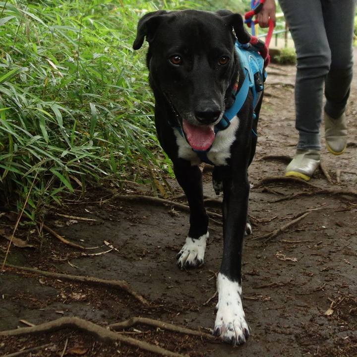 61dc1ae8 a728 4d61 ad97 61eb347e1180 1622418746538