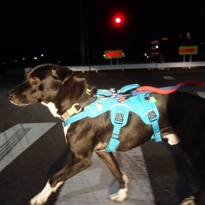 61dc48eb 8329 49e2 ac5a 746f6fbf1c79 1610543541577