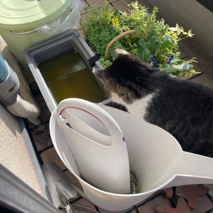 61dc4f03 2101 49bd b485 3051c1e2e719 1681375626932