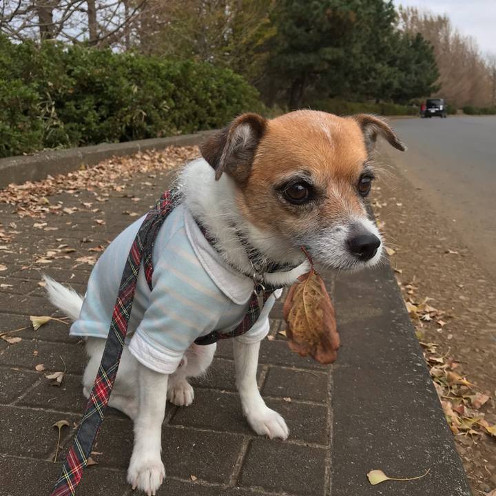 61dc6062 2d90 4f07 bab1 59a880621e73 1542527469422