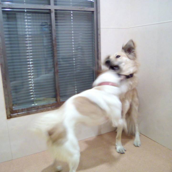 61dc720f b16c 4017 bf85 a8d8e478d49e 1521360429589