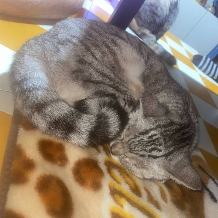 61dc8f62 58c1 4e8b 9230 9107cef30469 1761667396347