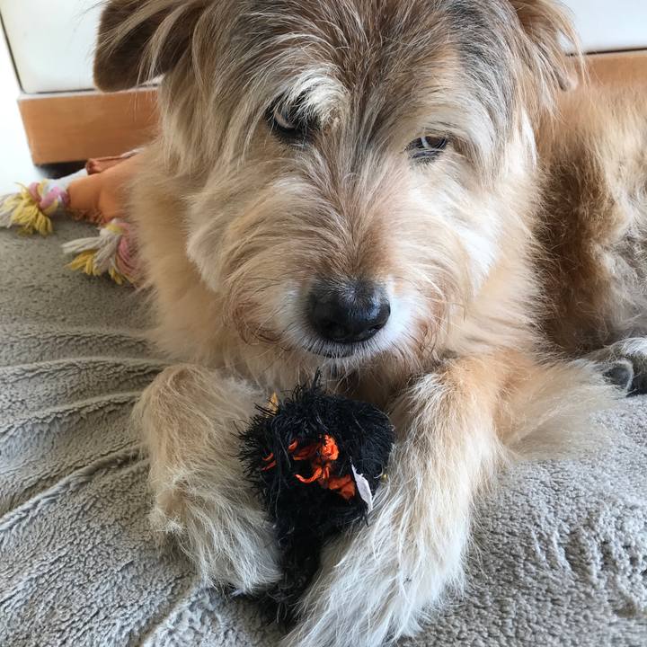 61dcd532 58d6 49ae 89d9 4303539db362 1612147434335