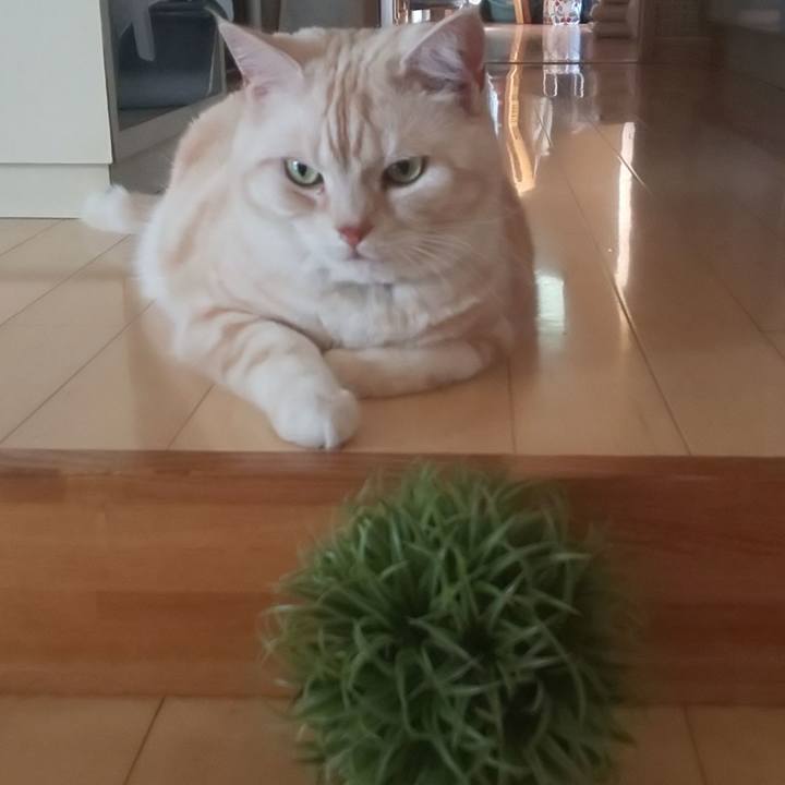 61dcdd44 0dcd 45b9 91a9 92168fceb4cd 1559723441300