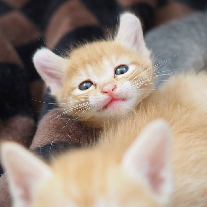 61dd0e39 5031 42ec 8919 2cb408c7a139 1569902128837