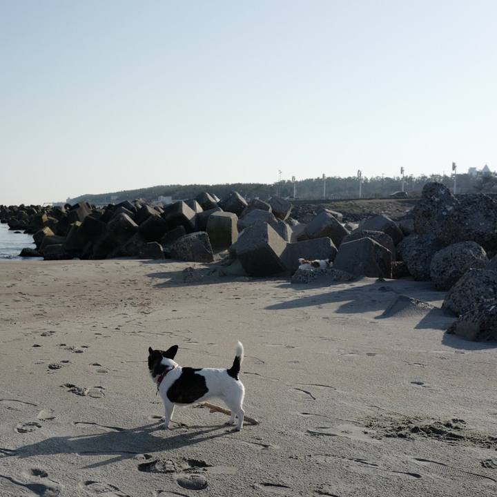 61dd3642 80b8 40de 8a34 4e5232e0ca93 1553061529088