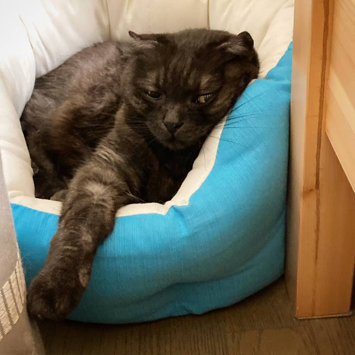 61dd3d3f 7530 4325 823c 43f6ac5eb803 1589305294501