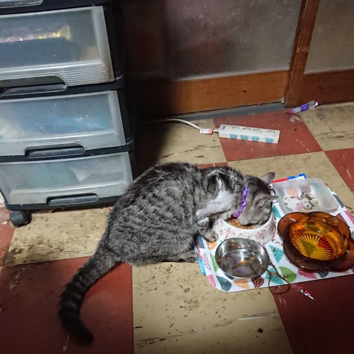 61dd48f4 3ebb 4ae3 8925 403e0349f64f 1588364424497