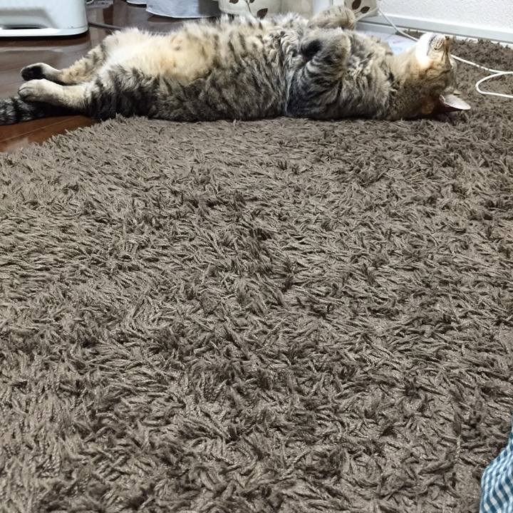 61dd4f75 5b64 4490 9c20 901849d15091 1697464460625