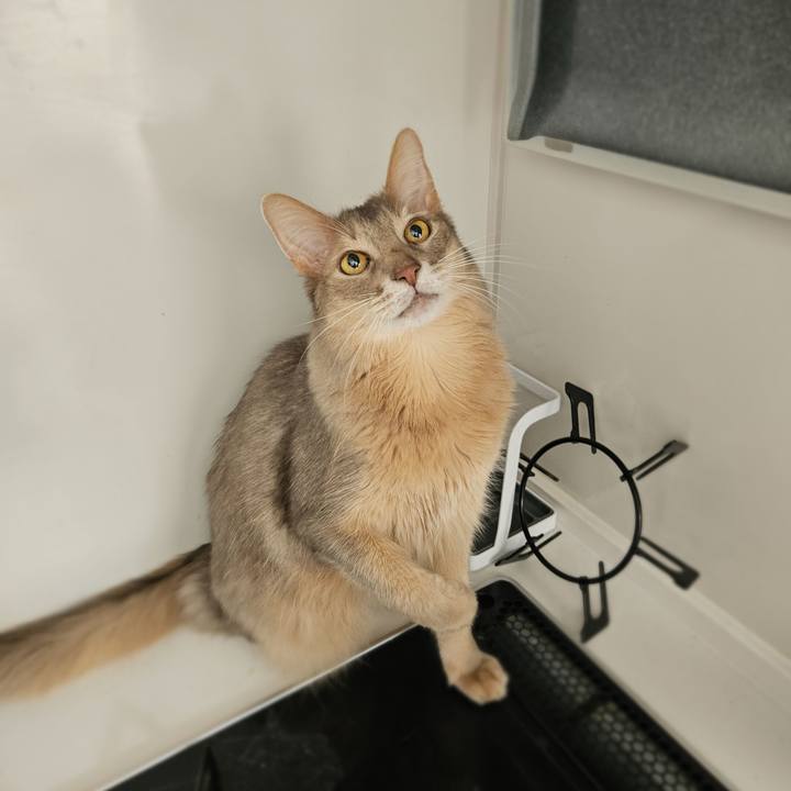 61dda1a1 3f9a 4a83 8a01 bcbb5d6a2e84 1772241963923