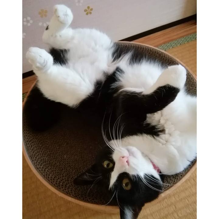 61ddabb3 d126 4181 90cd 8d7351e10a5a 1598451249237