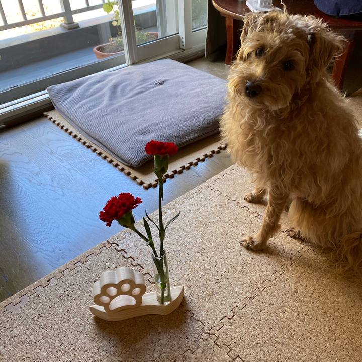 61ddc98b 1cd0 46df 9394 968e39b927d5 1666222327733