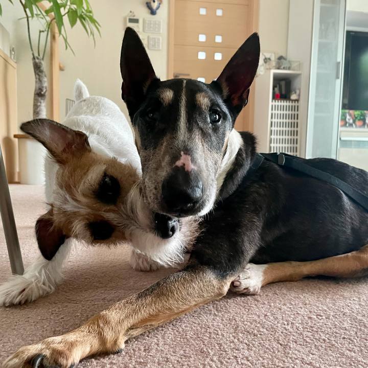 61ddf061 ee41 4aca ae09 9832252b53a9 1629523698658