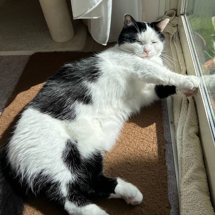 61de132e 00fb 46a8 b10d c920ae3d1ee8 1762125036935