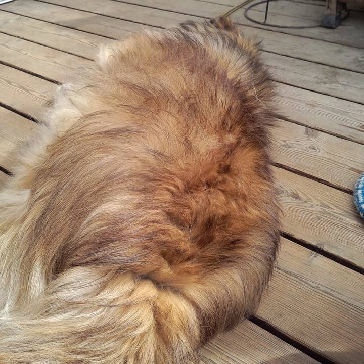 61de34ff 056a 4c6a 9ab6 48b4b8b22e29 1609686365751