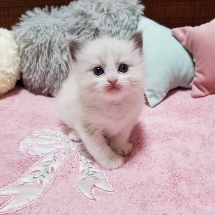 61de6072 1b45 4260 a078 f78b579a1f27 1627549509324