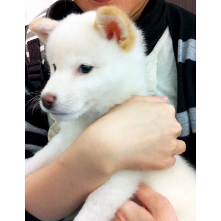 61de6f0f b2ba 4cd5 9946 a8175c63e314 1618148341024