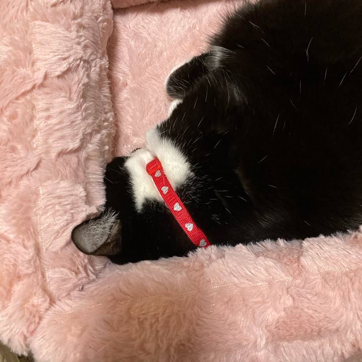 61de79a7 f2d4 4387 ad07 1dafcd2695f6 1766747945641