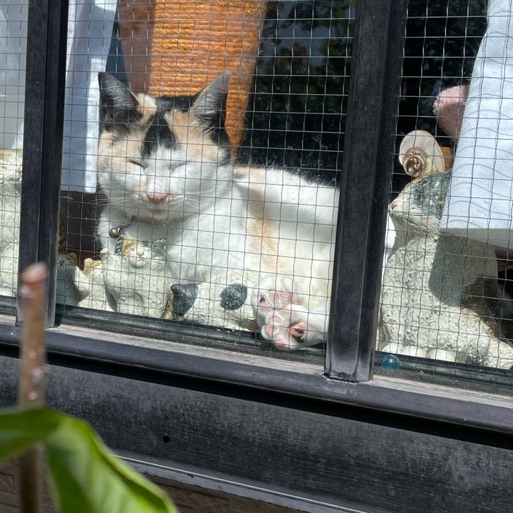 61dec444 33c1 4067 8d54 fdfe6d7224ee 1746231642699