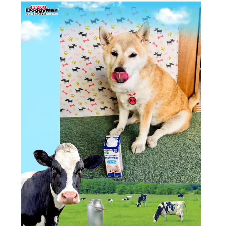 61dee001 59b8 4777 ac50 641f1c271061 1750604644791