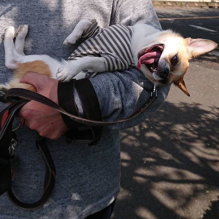 61df0665 d1a8 47c3 91aa ef3b5b42b1bf 1619328541400