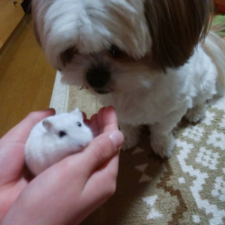 61df1c97 ce4c 4918 8447 a3f461433a6f 1517559699669